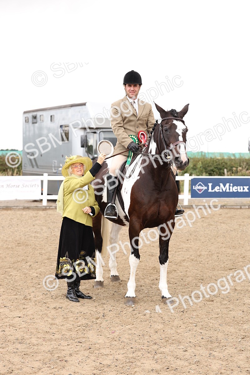 SBM_02945 - Class 53 - Ridden Competition Horse/Pony