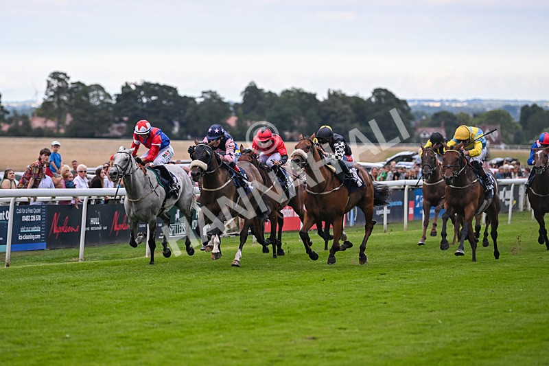 290725-Race 7-King Sharja-1250