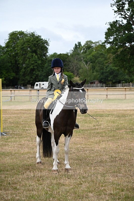 WJ6_4021 - Class 9 Tack & Turnout