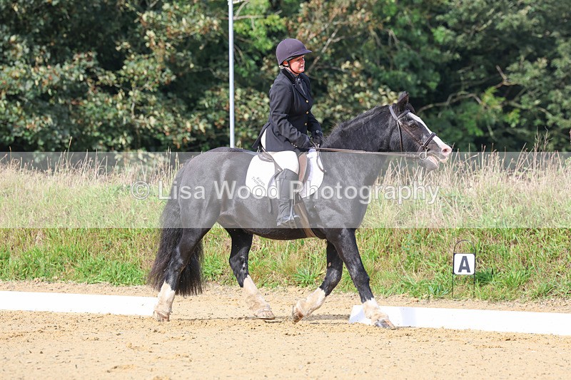 3E7A2303 - Class 1: Intro 4 2024 section A