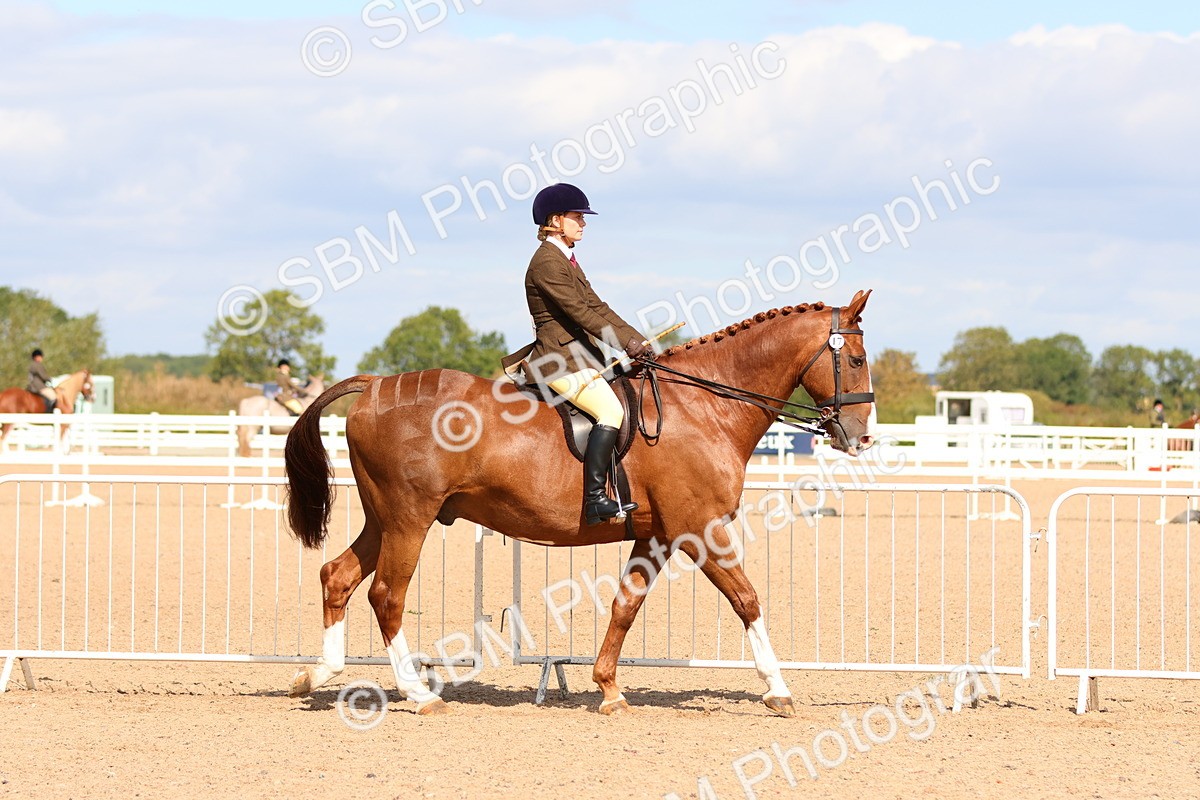 SBM_13451 - Class 212 - Ridden Hunter  - Large
