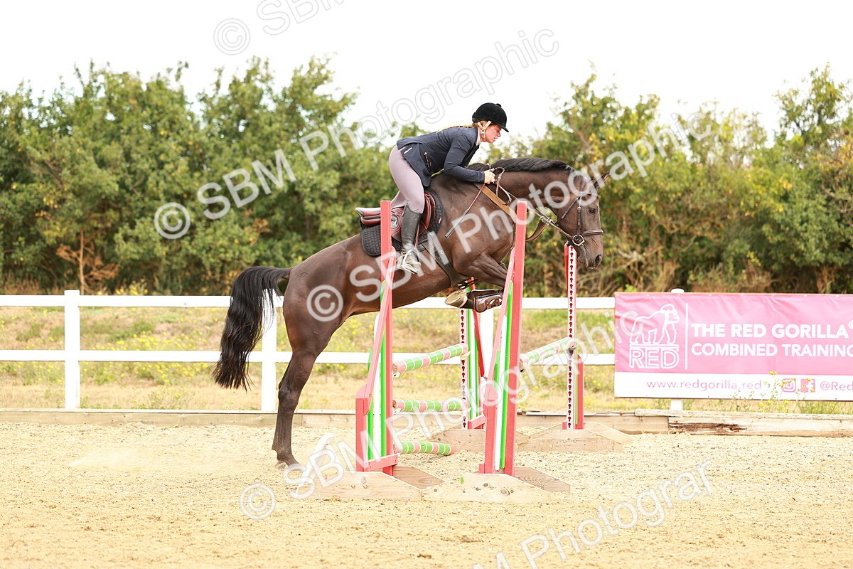 SBM_005189 - Class 2 - Senior British Novice - 90cm