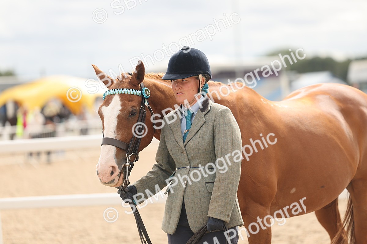 SBM_16993 - Class 312 - IH Competition Horse-Pony