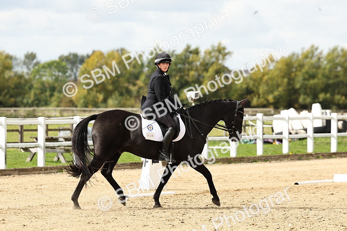 SBM_004700 - Class 69 - Novice 2