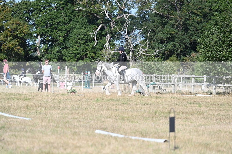 WJ7_9299 - Time 09:27 to 10:03