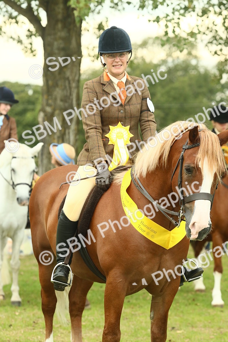SBM_72300 - S60 - Mountain & Moorland Ridden Large Breeds