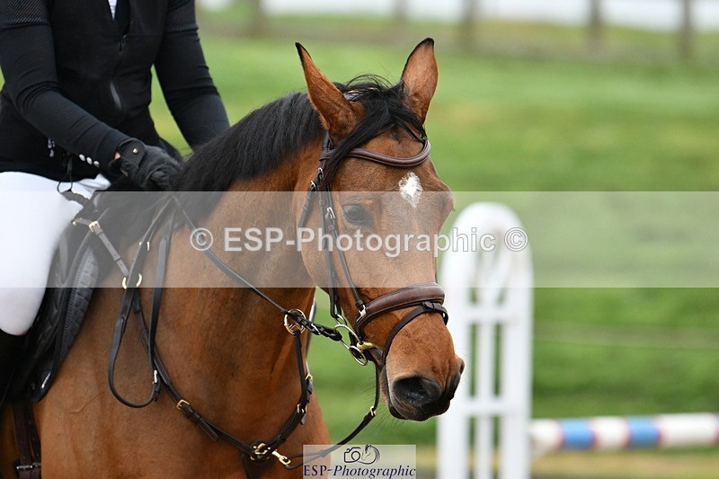 241102A-110307-04170 - SAT Cls 9 British Novice and 90cm Open