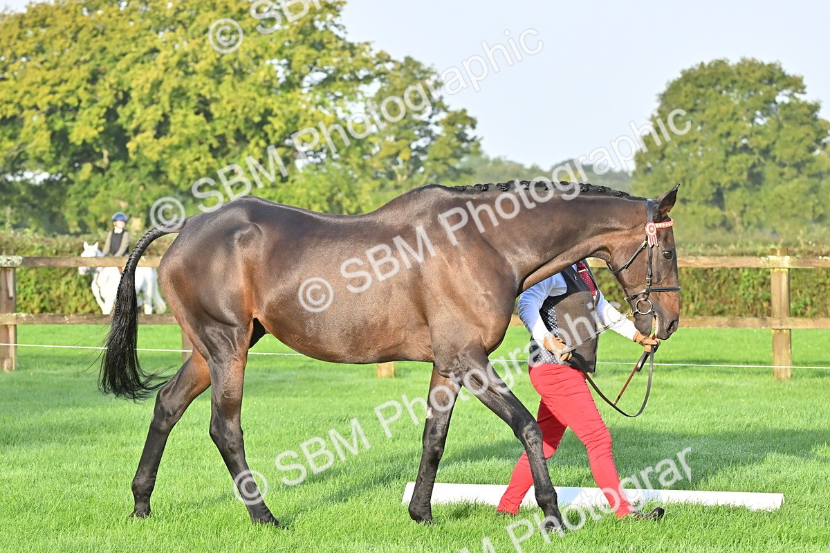 SBM_32550 - S15 - Top Turnout In Hand