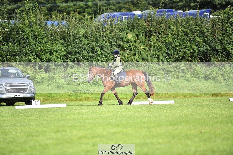 230826-090506-15020 - Sections C & D 9 to 10am