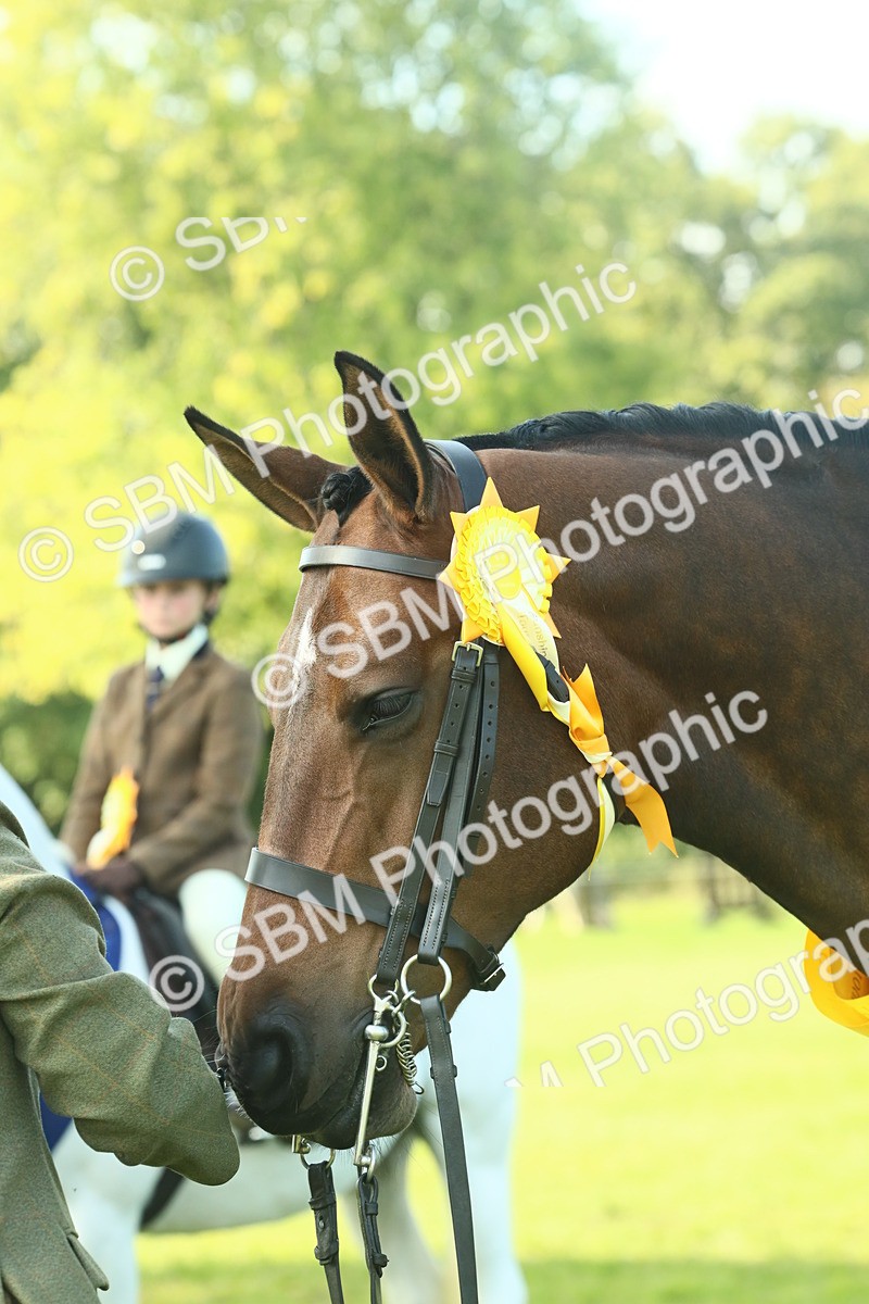 SBM_61110 - Starter Supreme Championship