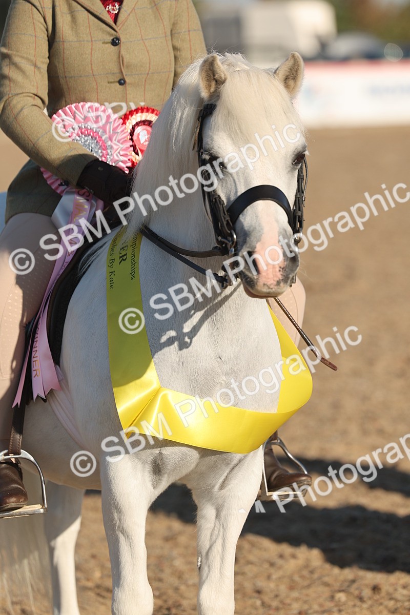 SBM_10935 - Class 301 - Ridden M&M Small Breeds