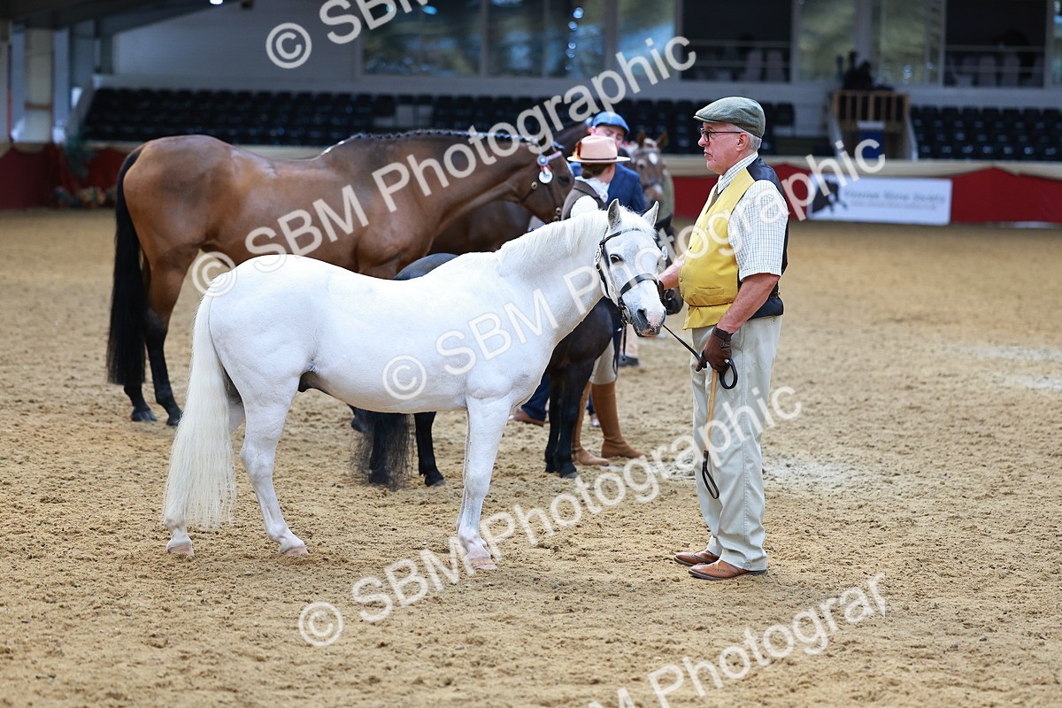 SBM_02317