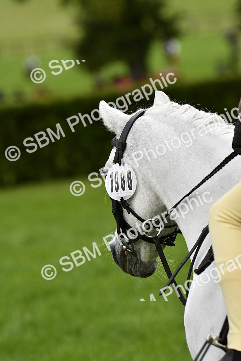 SBM_35452 - S30 - Nursery Stakes Working Hunter Pony