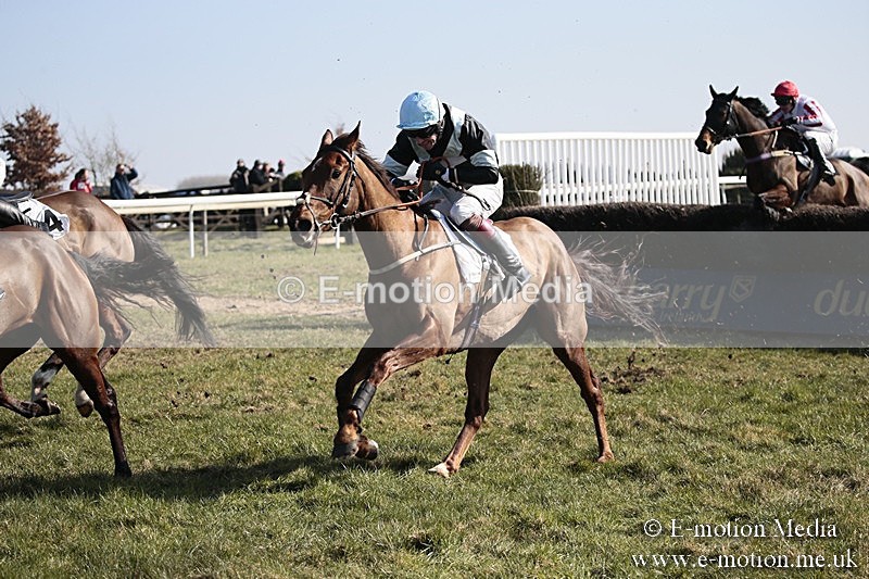 PtP 240218 169 - Vine & Craven Hunt Point-to-Point Barbury racecourse 24/02/18