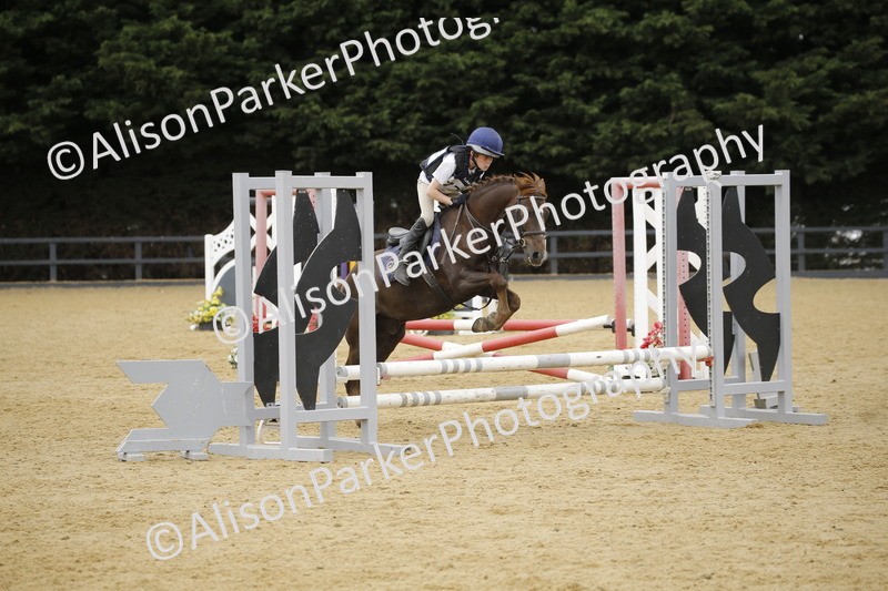 20250622-6047 - 60cm