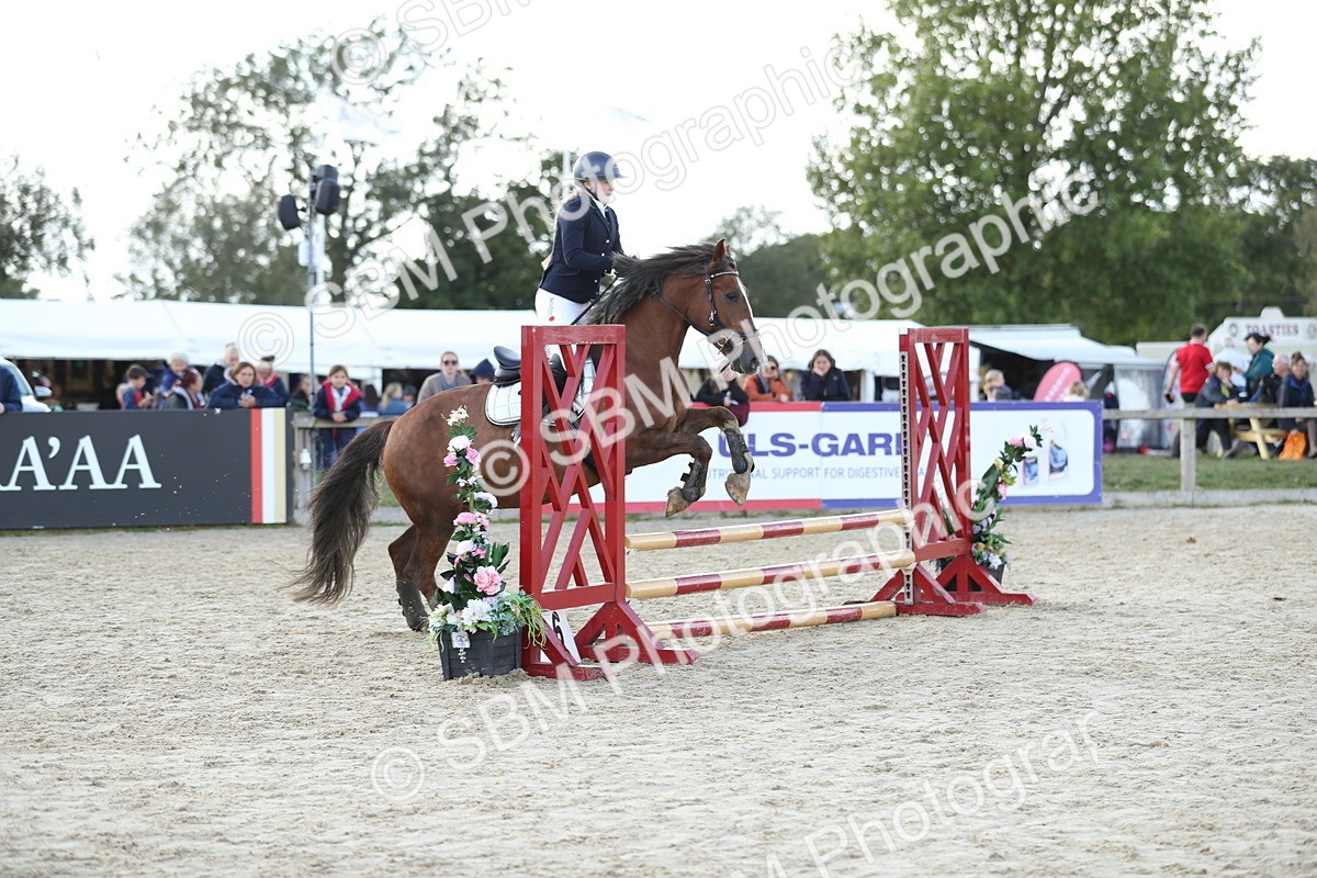 SBM_49521 - J22 - Junior Horse 65cm Championship