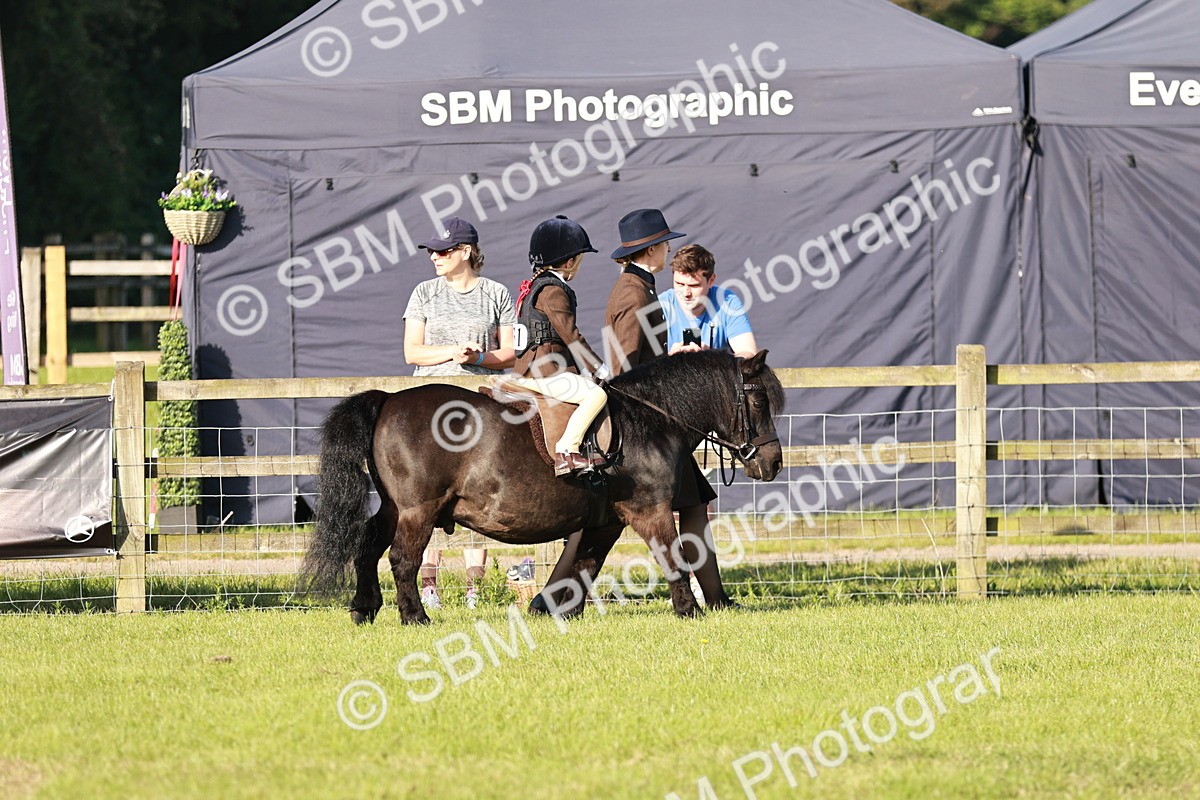 SBM_10983 - Class 106-107 - BSPS LIHS Working Sports Pony