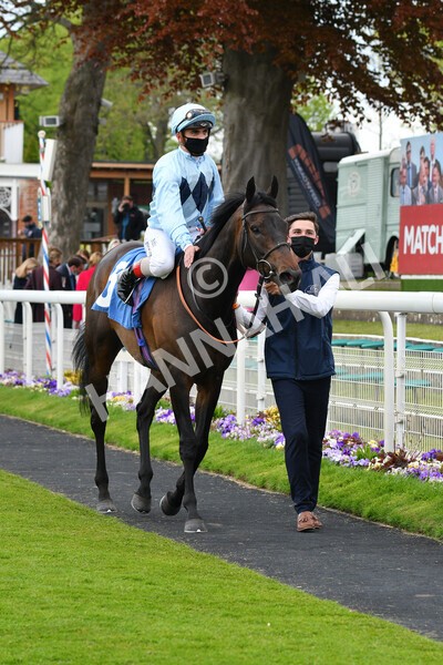 yr14052021r2-27 - Race 2 2.10pm Oak Farm Stables Fillies' Stakes (registered as the Michael Seely Memorial Stakes)