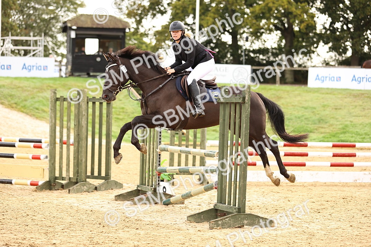 SBM_58482 - J41 - Grand Tour Horse & Pony 95cm