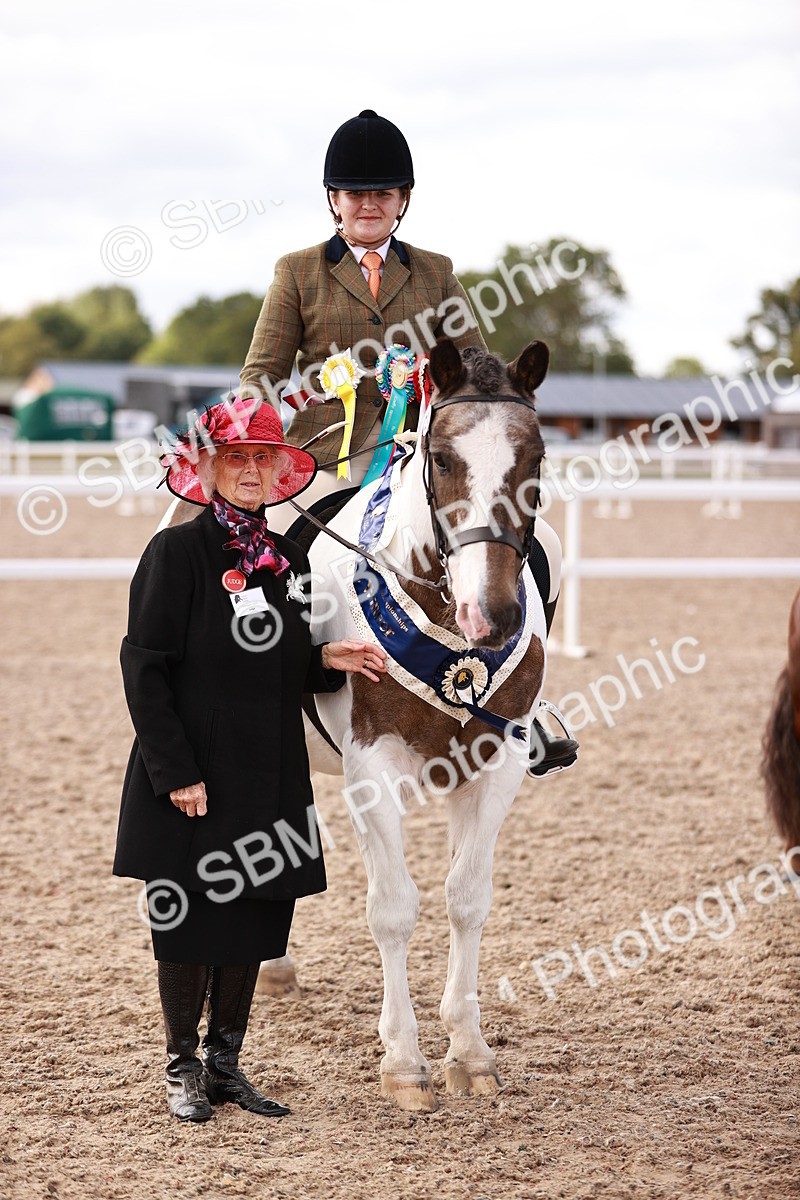 SBM_14397 - Class 409 - Grassroots Ridden - Pony