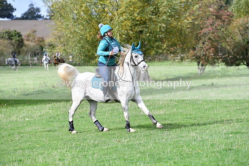 WJ5_9493 - Time 13:03 to 13:25