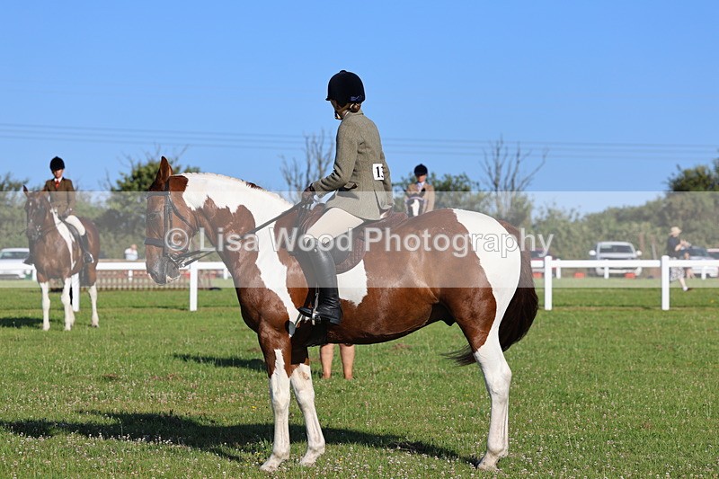 IMG_1272 - Class 27: Ridden Plaited Coloured Horse