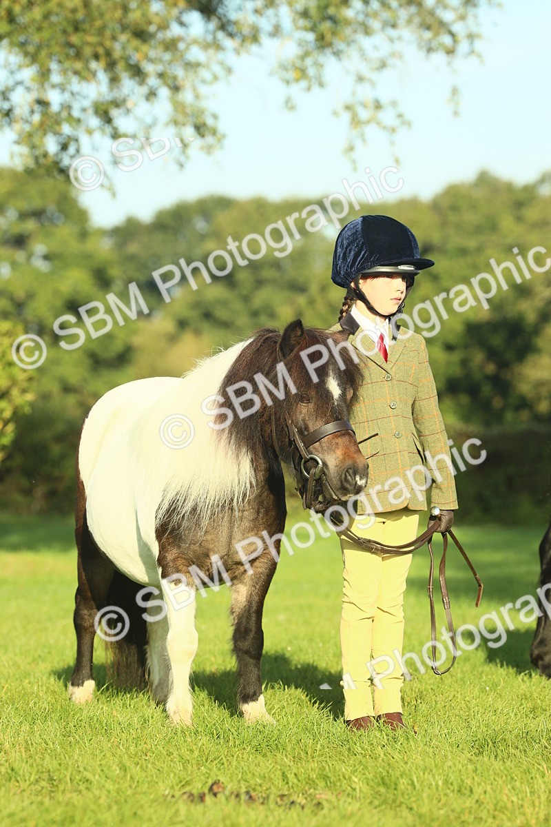 SBM_57446 - S37 - Starters In Hand Showing