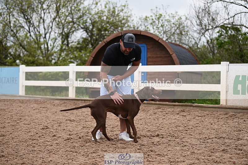 240518A-122234-01132 - Cls 4 Best Crossbred