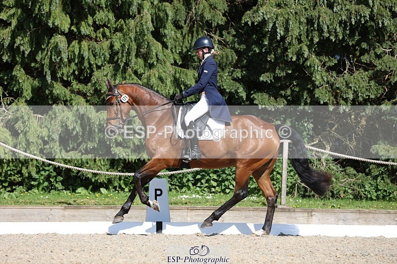 230526-162623-07820 - 171-SLANEYSIDE_COOLEY-Lara_Chapple-WEDTrotUp+DR