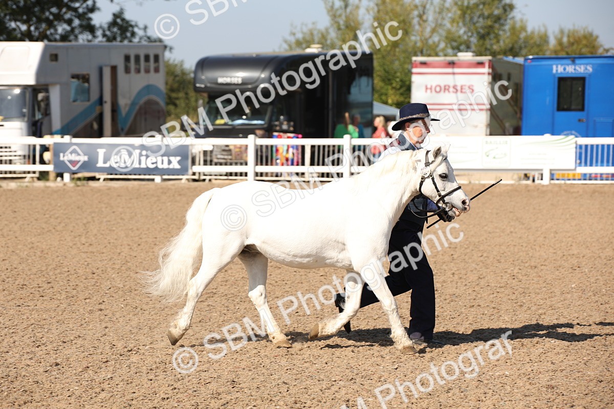 SBM_02688 - Class 16 IH M&M Wildcard