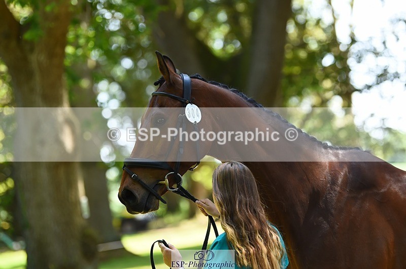 230524-150218-00028 - 304-MADFORD_LAW-Anna_Johannson-WEDTrotUp+DR