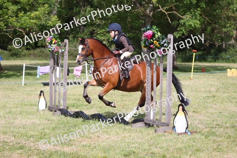 20260614-0481 - Class 20 - Beginners Working Hunter Pony