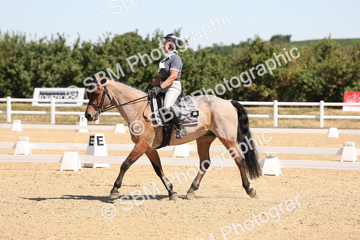 SBM_001171 - Intro 2