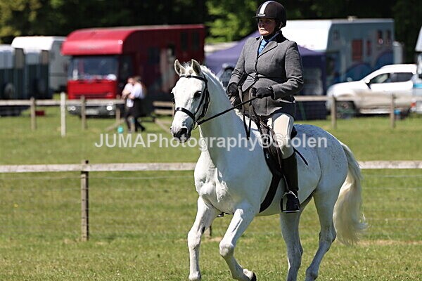 IMG_3989 - Working Hunter