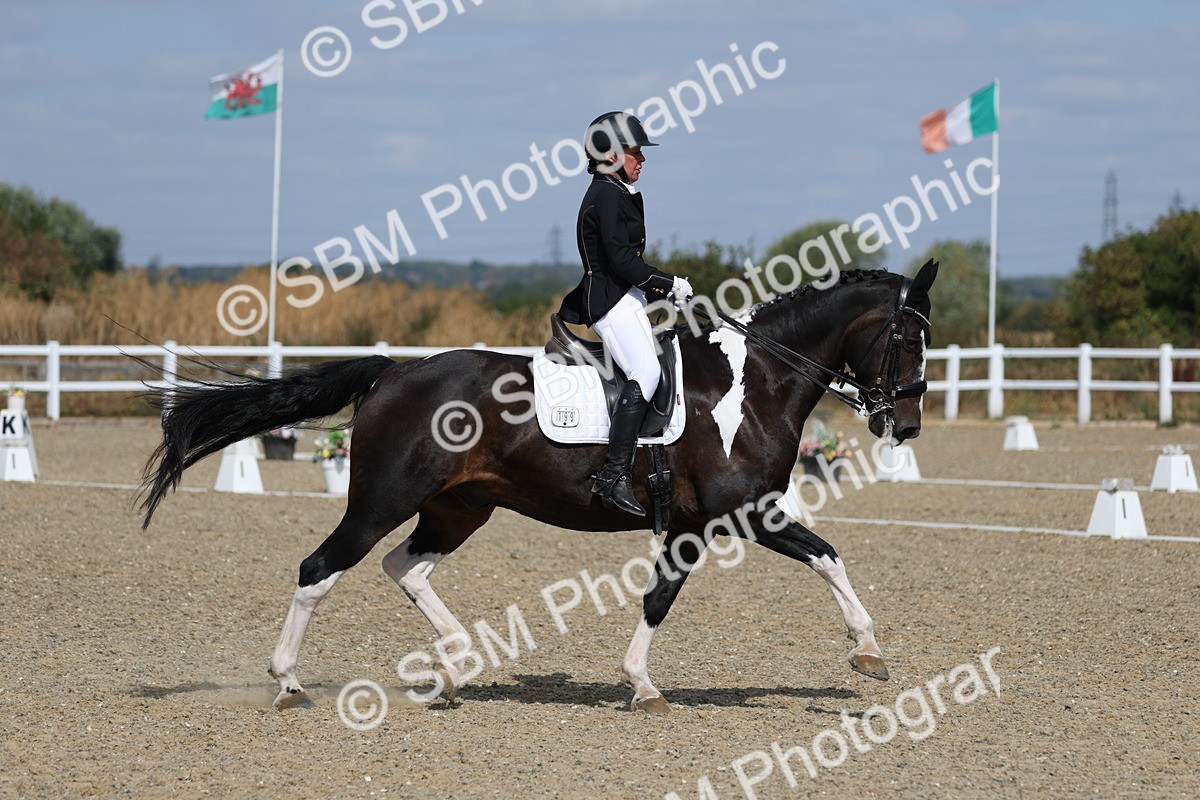 SBM_020952 - Class 21 - M5 Bronze 10.58.12.10