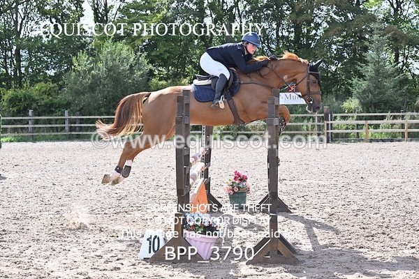 BPP_3790 - CLASS 43 SUN Senior Newcomers/ 1.10m Open