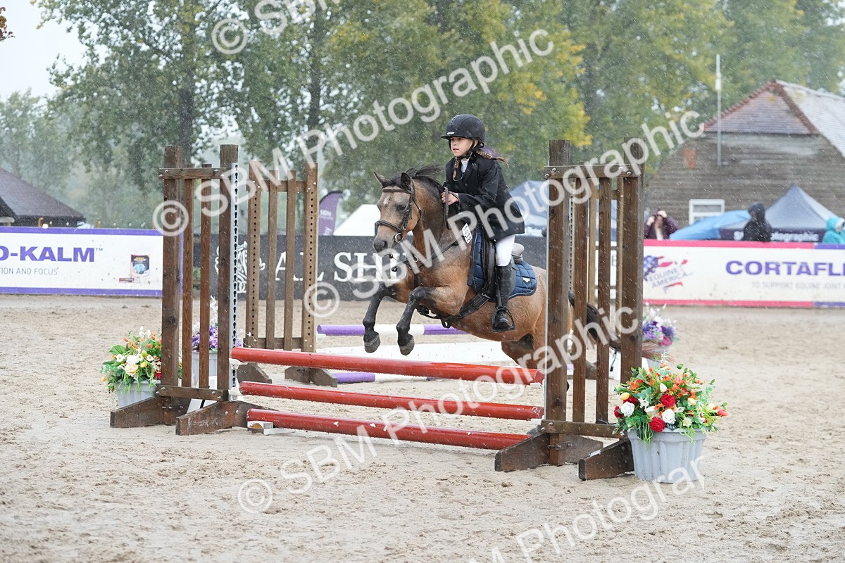 SBM_33511 - J5 - Junior Pony 50cm Championship