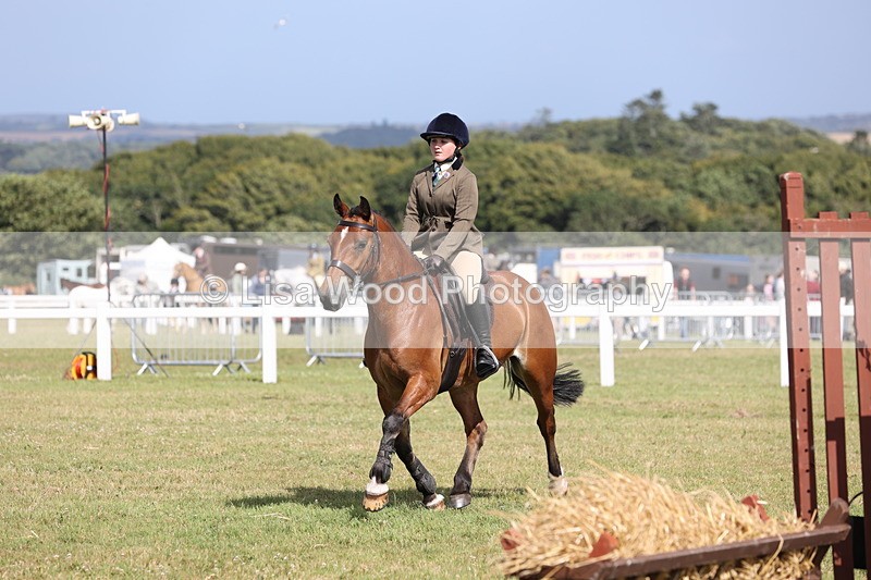 JPP_2618 - Class 20: Working Hunter 70cm