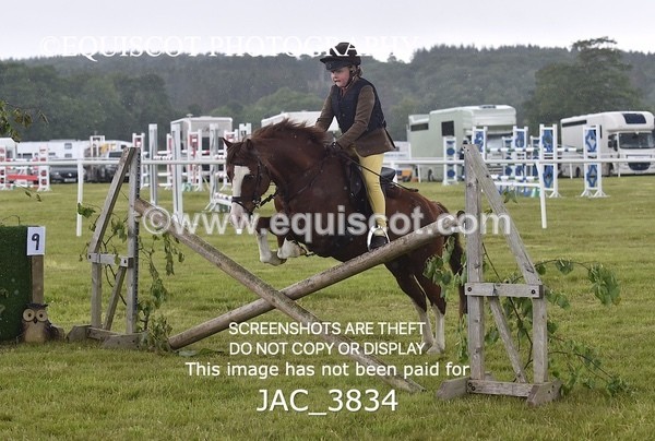 JAC_3834 - 65cm WORKING HUNTER