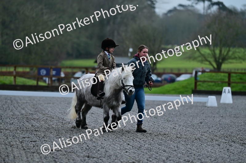 20260125-0793 - Class 9a - Walk Trot Assisted