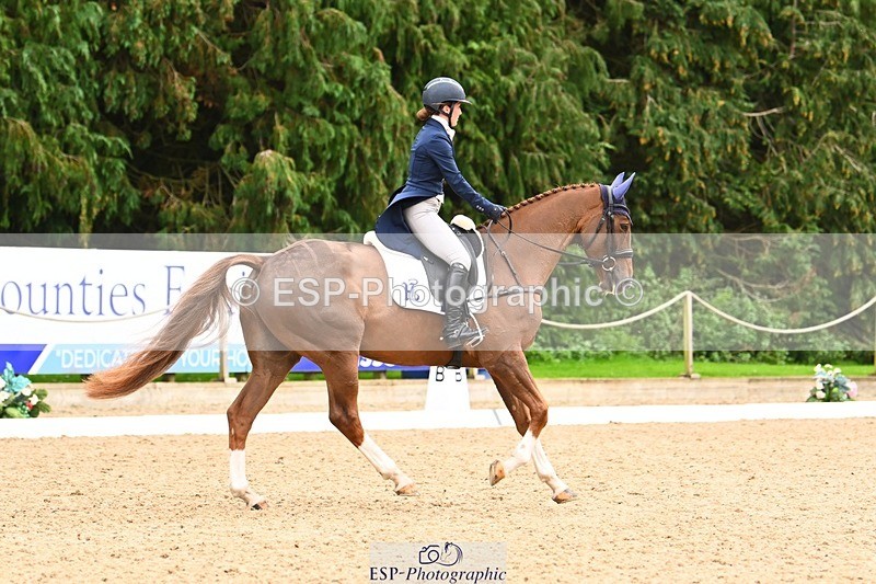 231020-153157-11857 - 213-MGH.HILDARE.HARLEQUIN-Danielle.Mccormack-DR