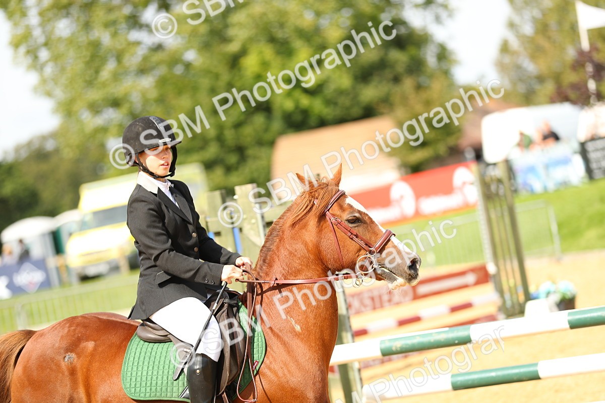 SBM_66017 - J17 - Junior Pony 80cm Championship