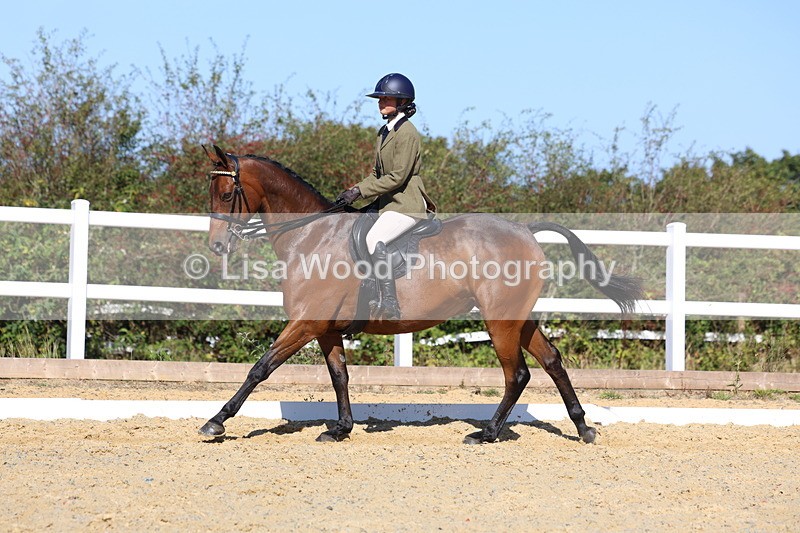 3E7A5734 - Class 10: Riding Horse