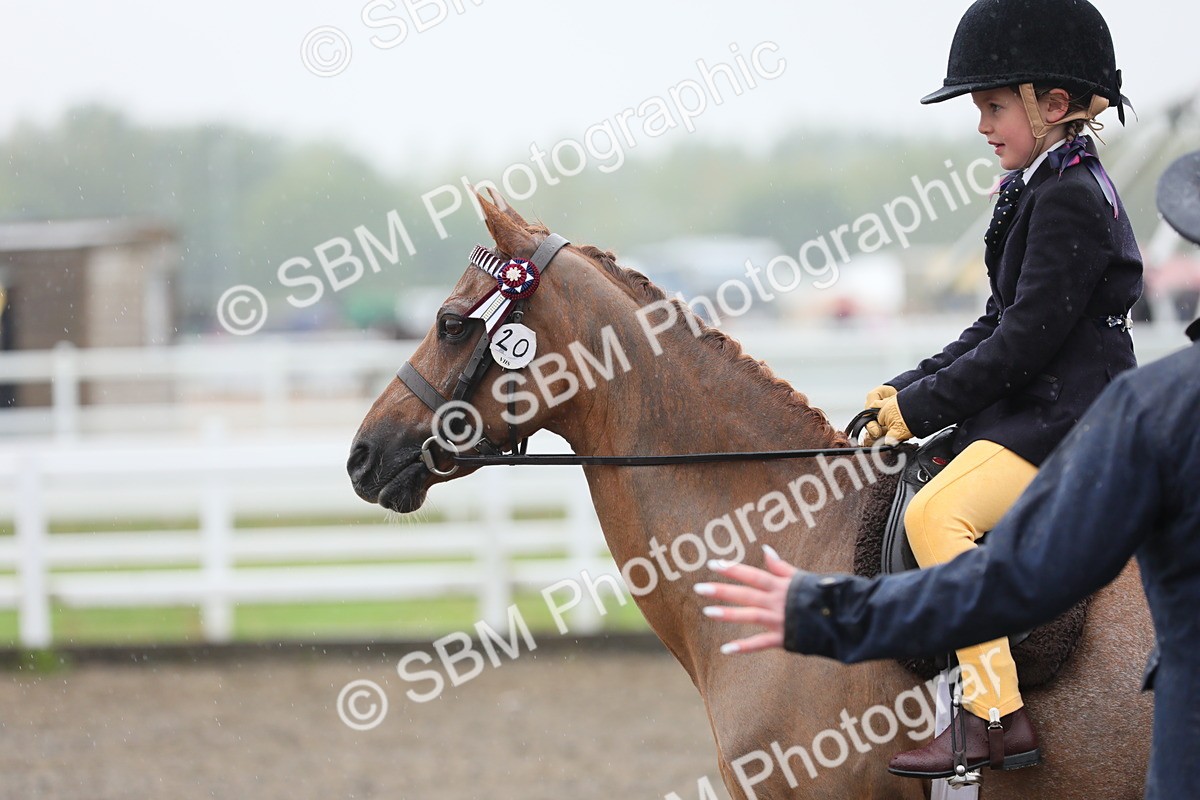 SBM_20583 - Class 804 - Ridden Veteran Pony