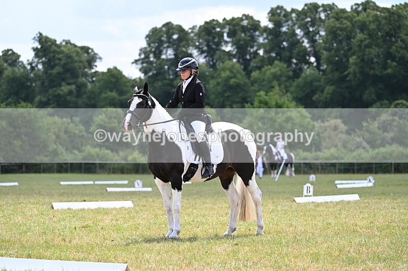 WJ7_5388 - Time 11:22 to 11:51