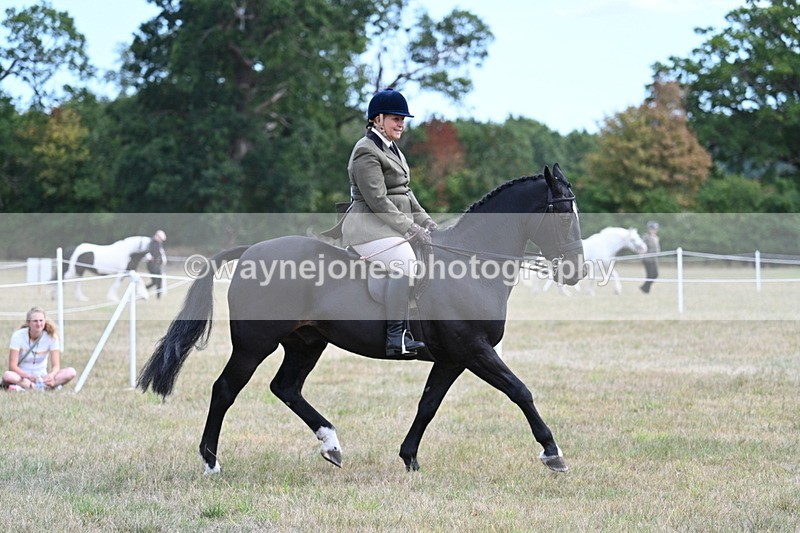 WJ7_5986 - Class 13 Ridden Veterans