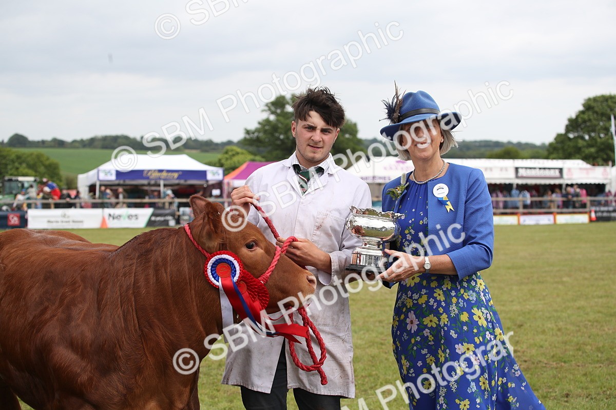 SBM_07933 - Grand Parade