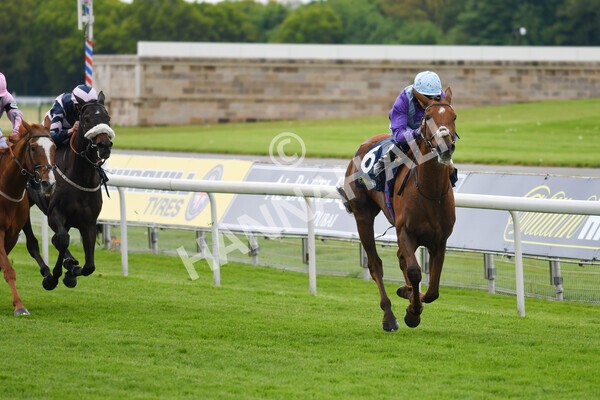 yr22052021r2-18 - Race 2 2.40pm William Hill Brontë Cup
