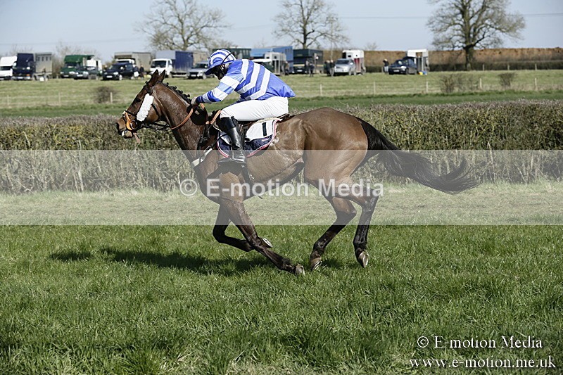 PtP 250317 142 - V.W.H. Hunt Point-to-Point Siddington 25/03/17