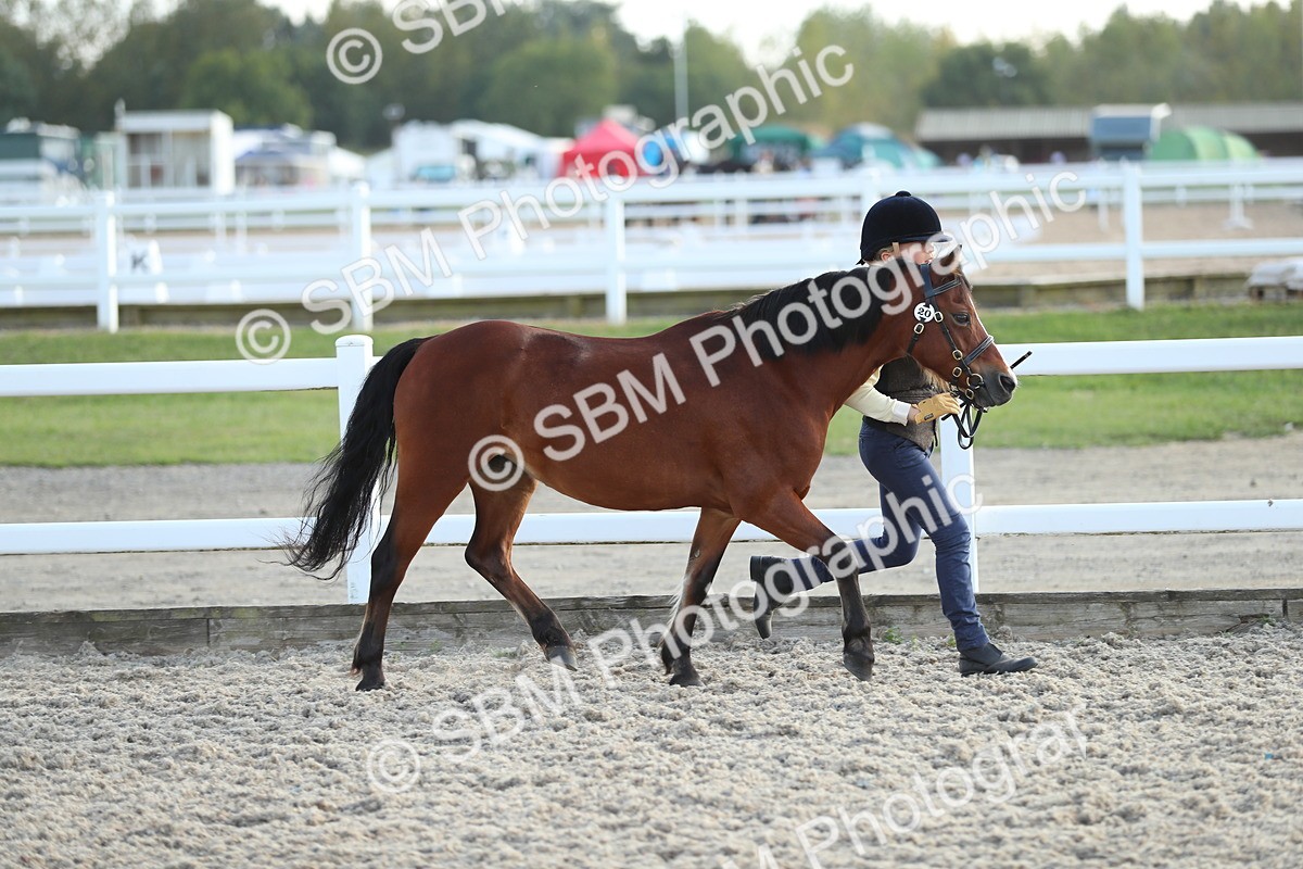 SBM_08929 - Class 29 IH Veteran Pony